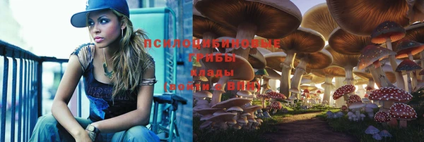 гидра Алексин