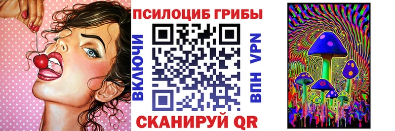 Псилоцибиновые грибы Psilocybe Щёлкино